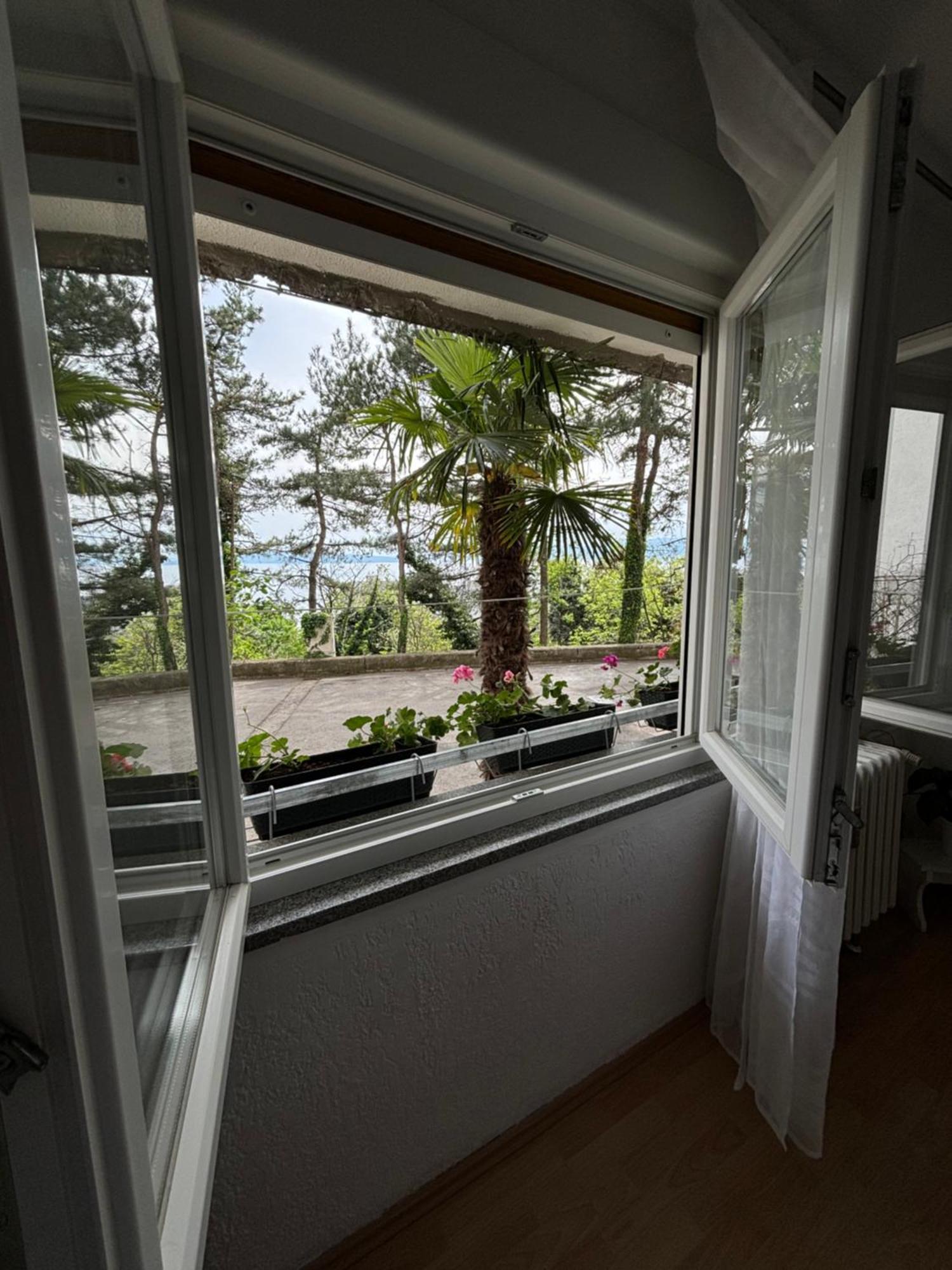 P&K Lägenhet Rijeka Exteriör bild